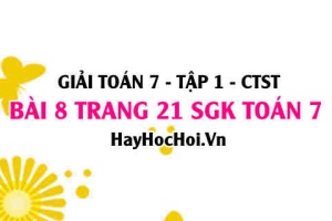 Giải bài 8 trang 21 Toán 7 Tập 1 SGK Chân trời sáng tạo